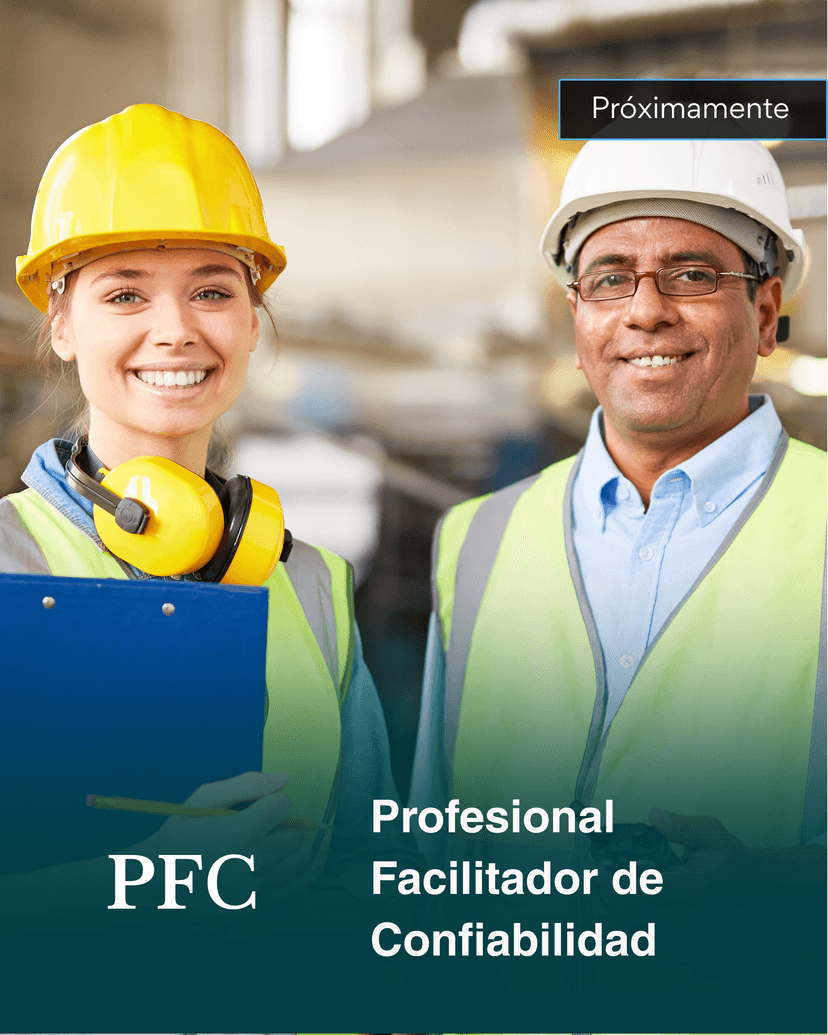 Profesional Facilitador en Confiabilidad